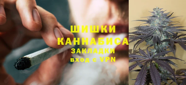 гидропоника Снежногорск