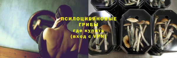 МДПВ Слюдянка
