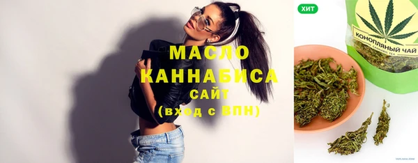 МДПВ Слюдянка