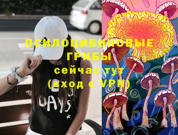 гидропоника Снежногорск