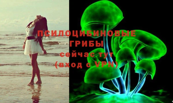 гидра Рославль