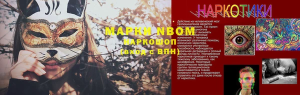 гидропоника Снежногорск