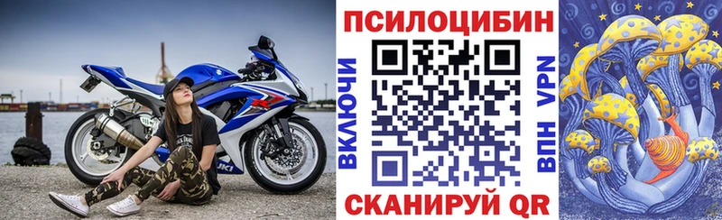 Псилоцибиновые грибы Psilocybe  МЕГА ссылки  Нижний Тагил 